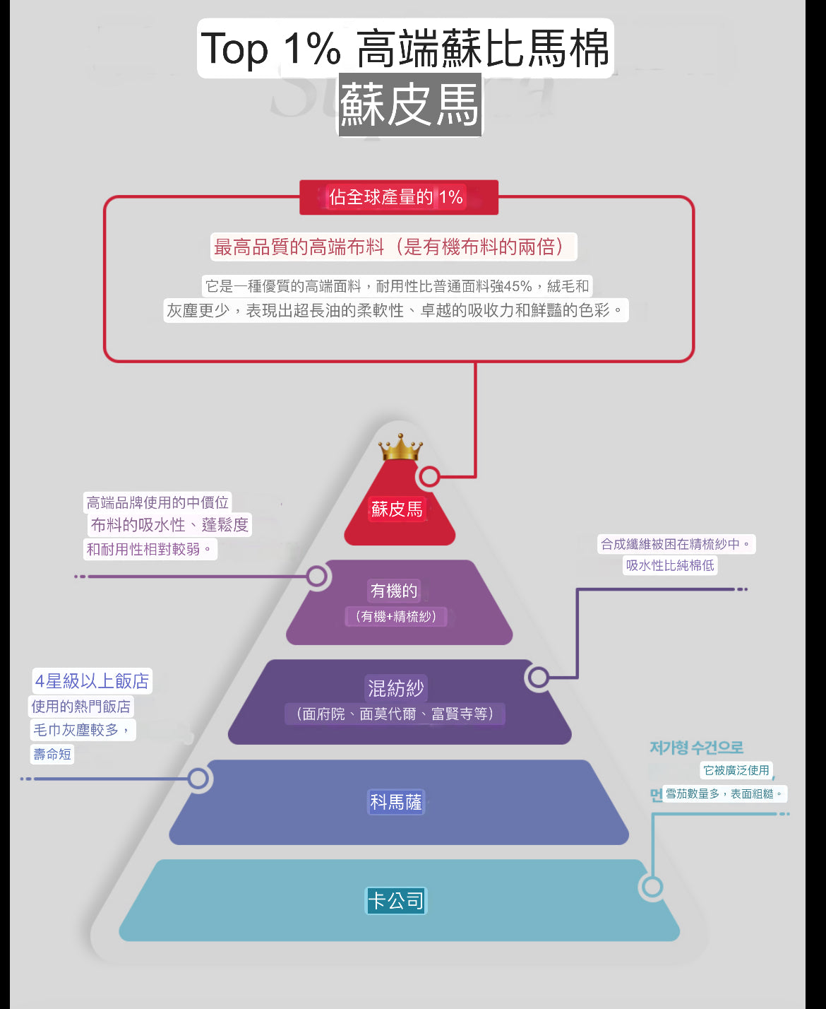 TÉTO 標誌性 Supima 浴巾｜韓星、高級酒店都選用｜毛巾界的愛馬仕