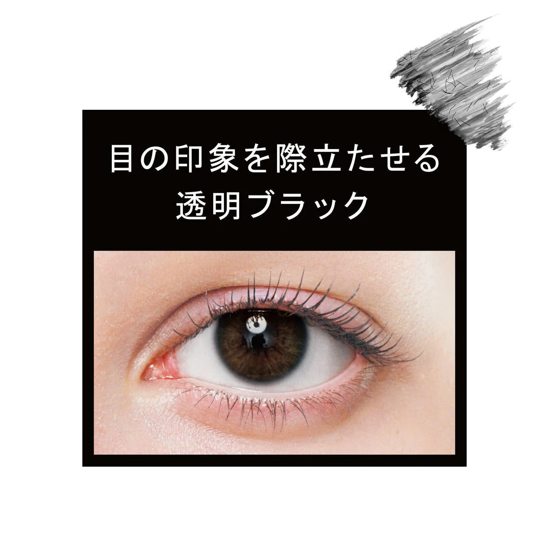 ettusais Eye Edition (Mascara Base) 