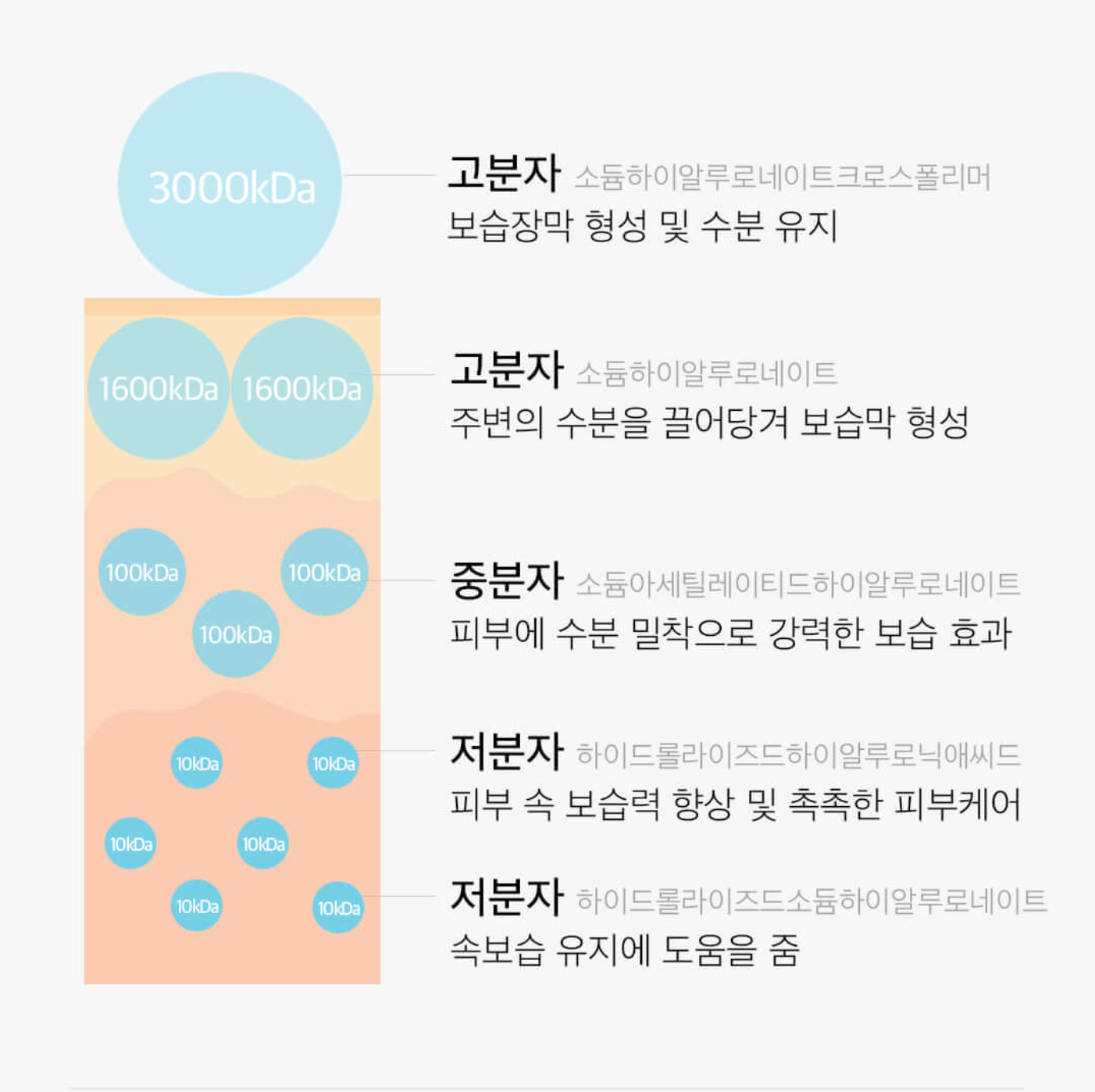 Torriden DIVE-IN Low Molecule Hyaluronic Acid Toner 低分子透明質酸爽膚水 300ml