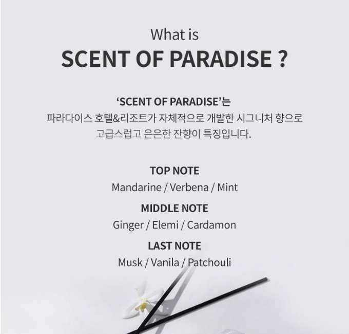 Scent of Paradise 汽車空氣清新劑（盒子 + 2 個補充裝）