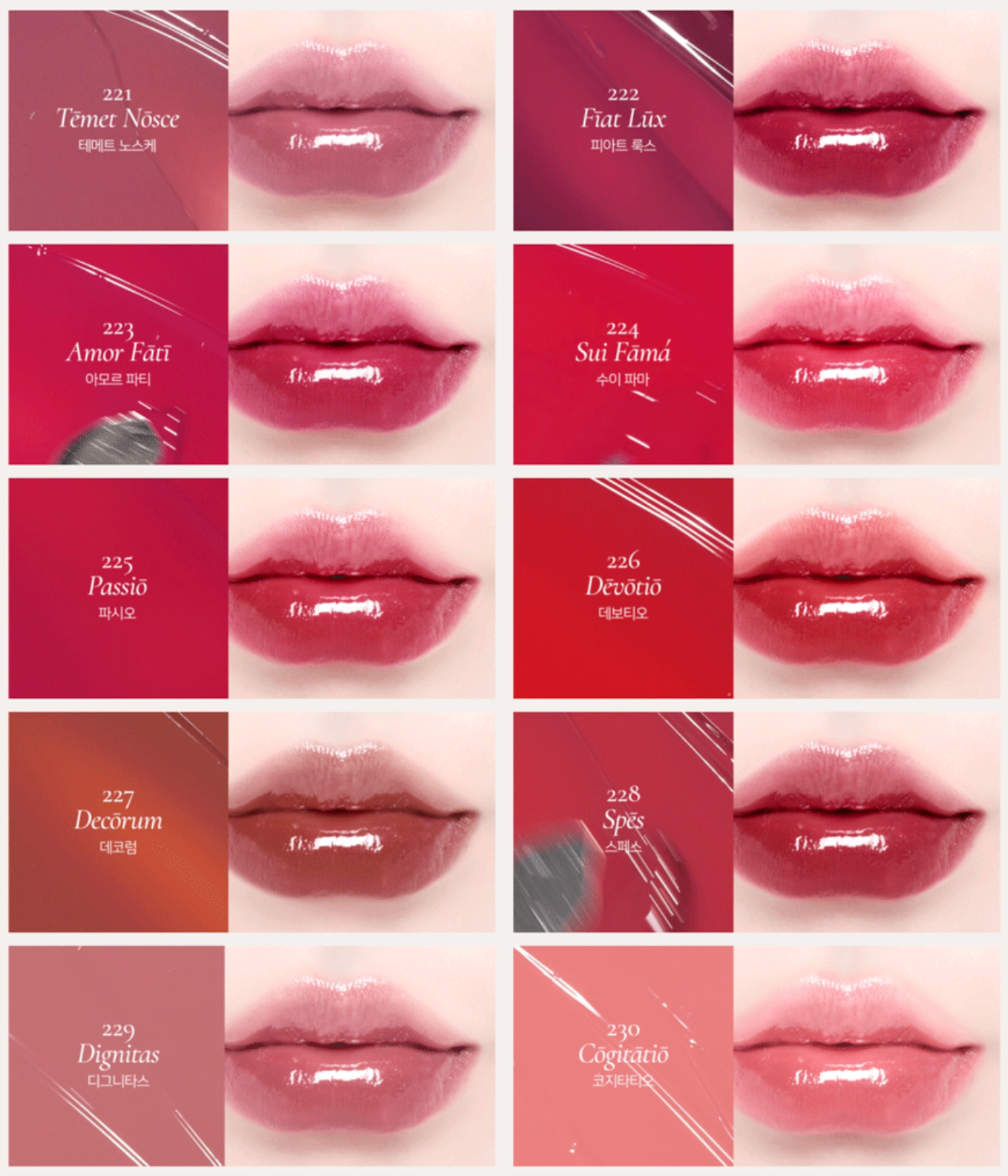 Dinto Blur-Glowy Lip Tint 水光亮澤唇釉