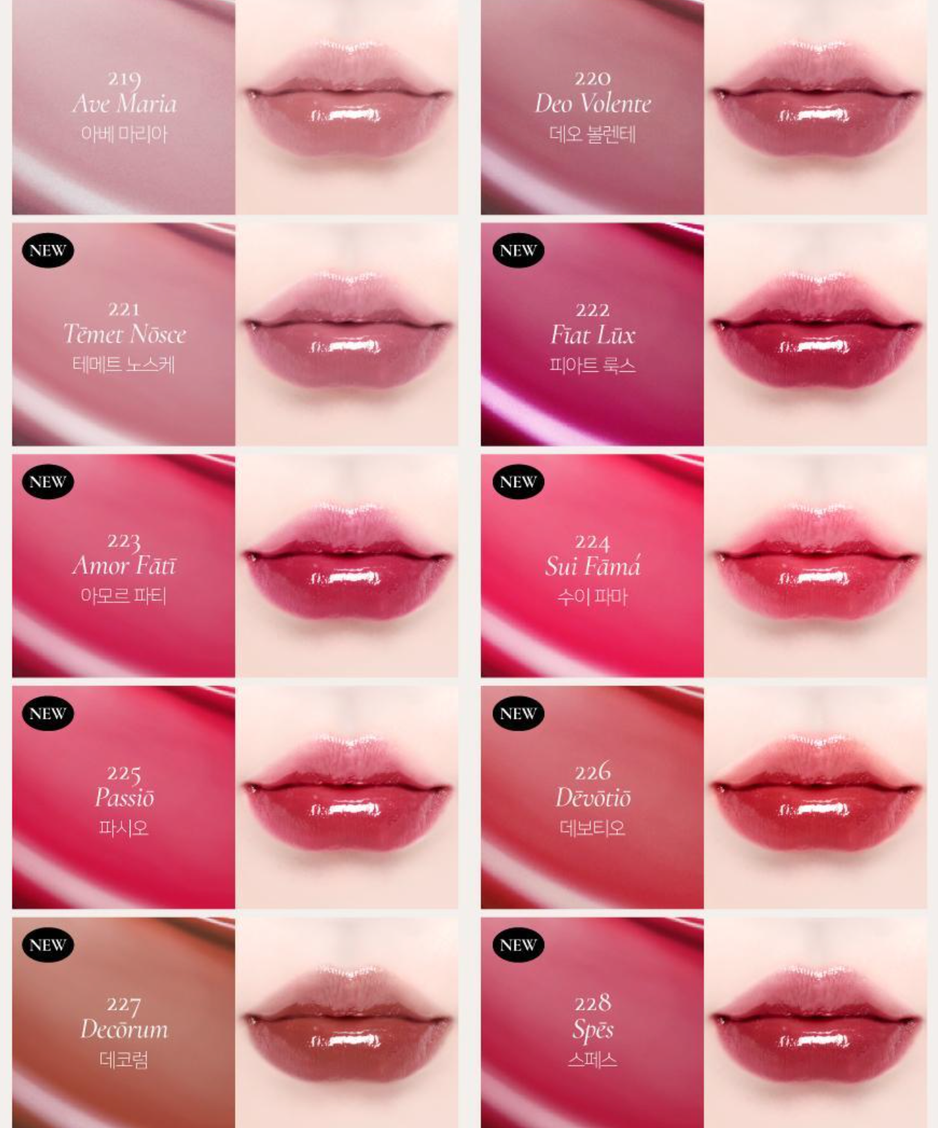 Dinto Blur-Glowy Lip Tint 水光亮澤唇釉