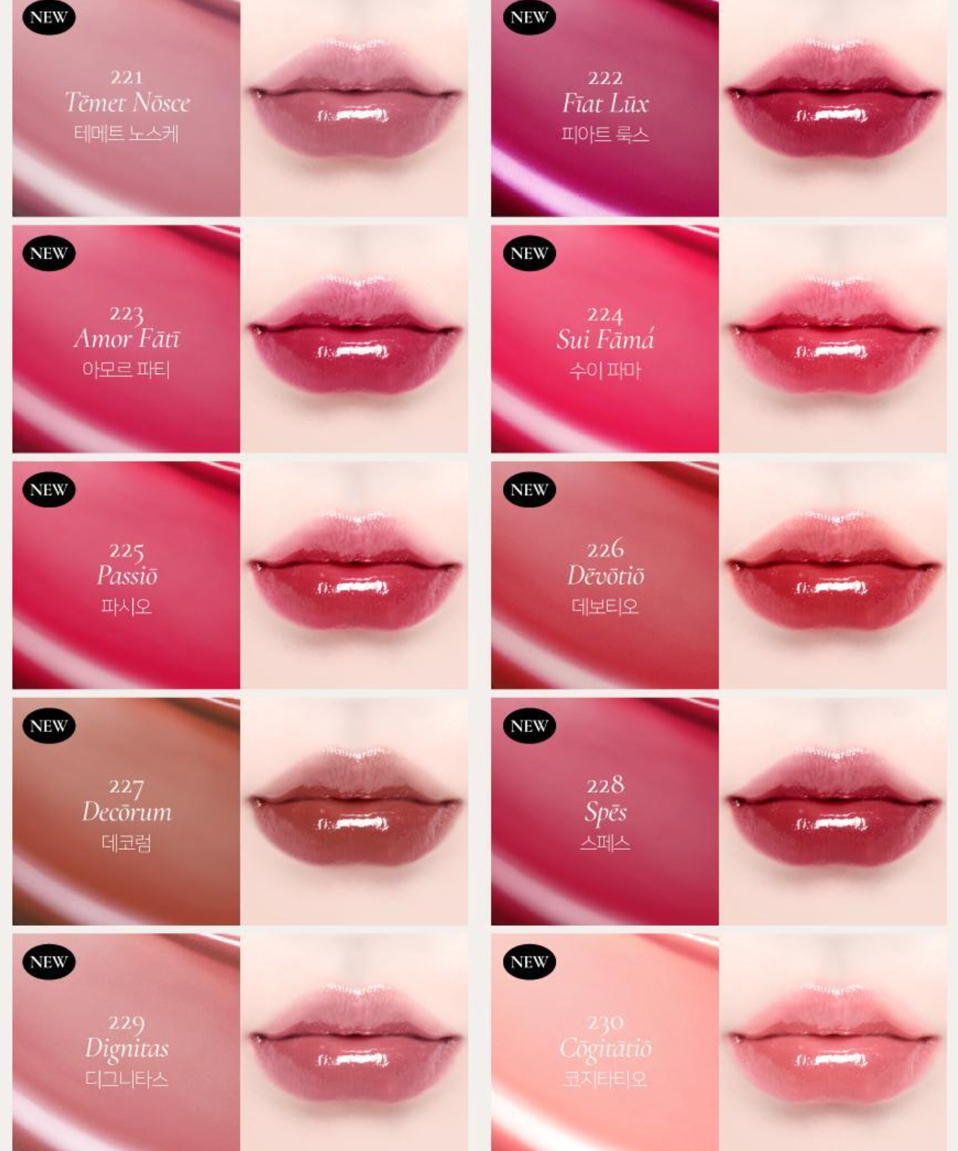 Dinto Blur-Glowy Lip Tint 水光亮澤唇釉