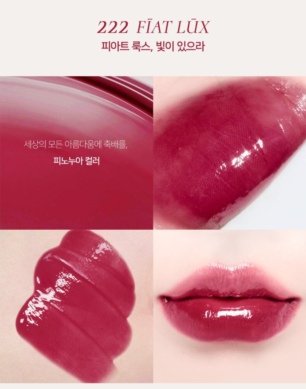 Dinto Blur-Glowy Lip Tint 水光亮澤唇釉